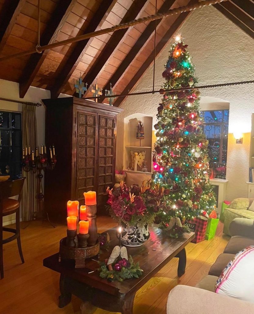 Holiday Chi and The Christmas Tree
