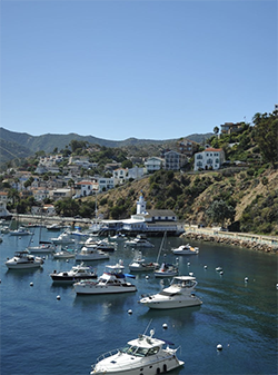 Catalina Island