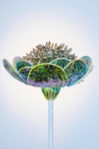 This is where Feng Shui—the ancient art of harmonizing energy—can make a meaningful difference.
