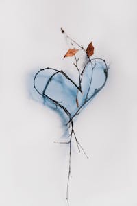 Feng Shui reminds us that a room is more than four walls—it’s a container for life, healing, and connection. When we infuse that space with love and care, we offer our loved ones something priceless: a place where their spirit can thrive.